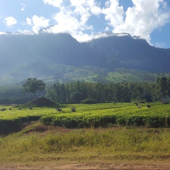 LIKE THIS + BOOKMARK MY CLOSET 🖤 - Picture 10 of 10